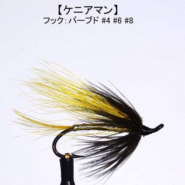 パターン名：サーモンフライタイプ：サーモン用ウエットフライ主な使い方：水面下で使う大型フライイメージ：小魚　稚魚対応フック：バーブド（返しあり）サイズ #4 #6 #8一言：サケ釣り/大型トラウト/サーモンフライ/本流の大型とても実績が高い...