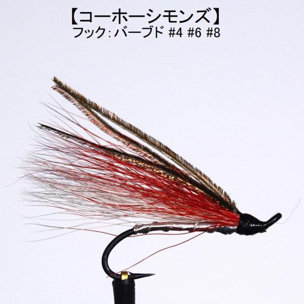 パターン名：サーモンフライタイプ：サーモン用ウエットフライ主な使い方：水面下で使う大型フライイメージ：小魚　稚魚対応フック：バーブド（返しあり）サイズ #4 #6 #8一言：サケ釣り/大型トラウト/サーモンフライ/本流の大型とても実績が高い...