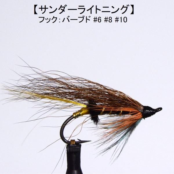 パターン名：サーモンフライタイプ：サーモン用ウエットフライ主な使い方：水面下で使う大型フライイメージ：小魚　稚魚対応フック：バーブド（返しあり）サイズ #4 #6 #8一言：サケ釣り/大型トラウト/サーモンフライ/本流の大型とても実績が高い...