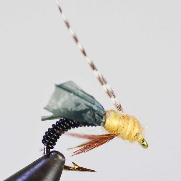 ニンフ JCS エレキトロレック カディスピューパ ブラック (#14 #16 #18