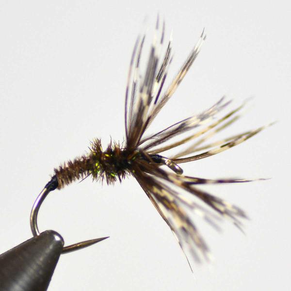 【テンカラ毛鉤】日本の伝統釣法「テンカラ釣り」に最適な完成毛鉤です。渓流や里川、源流域でヤマメ・イワナを狙うのにぴったり。ソフトハックルの自然な動きとカラー設計で、ナチュラルな誘いと高い実釣性能を実現しました。・サイズ：#10〜#16&lt...