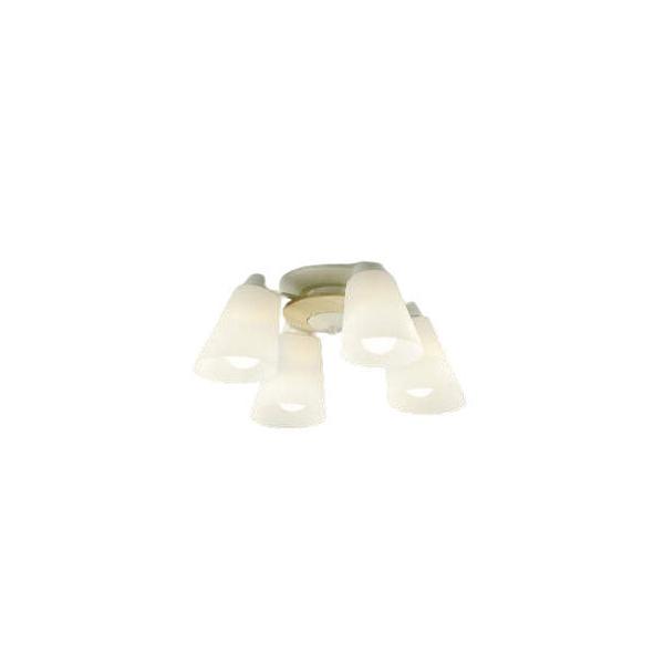 �R�C�Y�~�Ɩ� �V�����f���A AA42070L �d���F