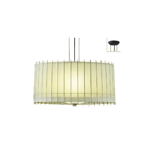 RCY~Ɩ  ay_g AP36498L HKv dF