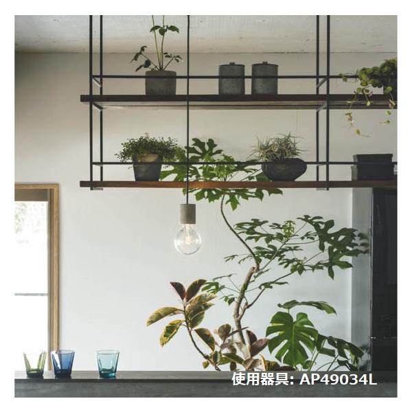 KOIZUMI コイズミ照明f ダクトレール用ペンダント AP49034L