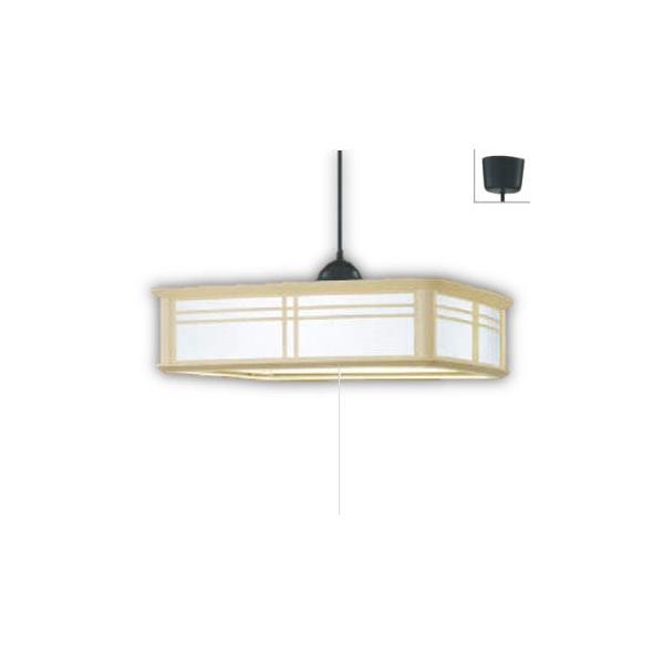 RCY~Ɩc ay_g AP50302 i F