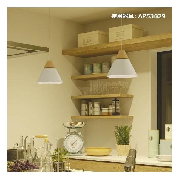 art-lighting_ap53829