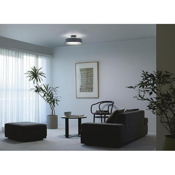 art-lighting_dcl-41929 art-lighting_dcl-41929