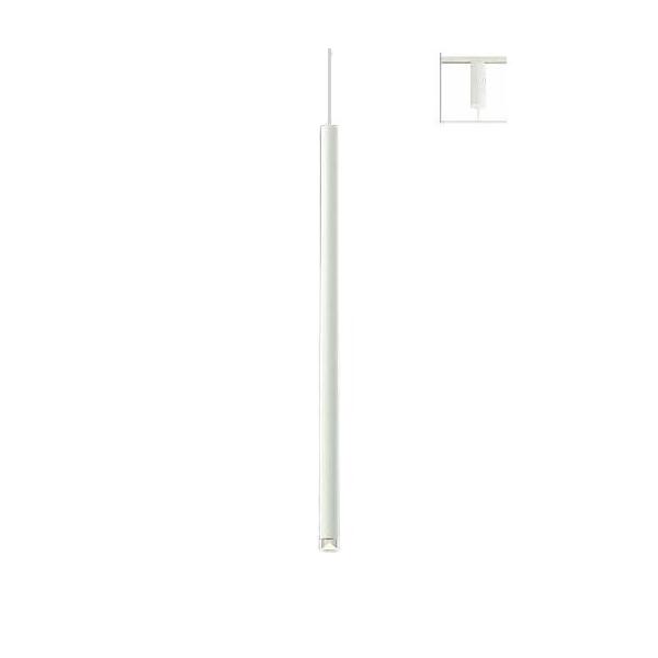 d@ _Ng[py_g DPN41577Y