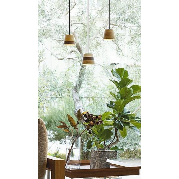 大光電機（DAIKO）ペンダントライト　DPN-41836YG 2個セット art-lighting_dpn-41836yg