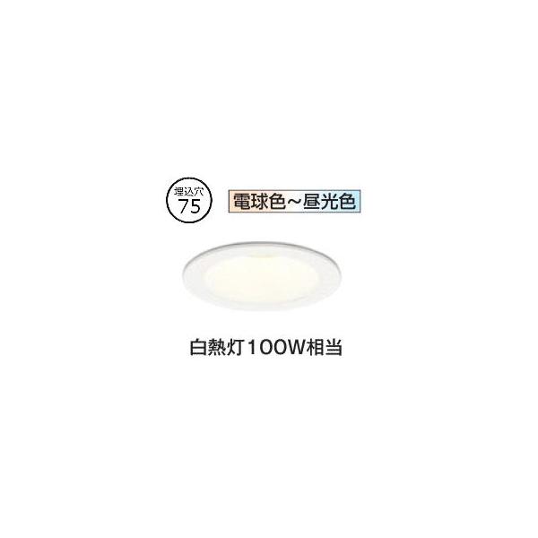 art-lighting_od361495br