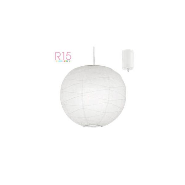 I[fbN ay_gCg OP052286NWR F F M100W ykCEkEBʓrz