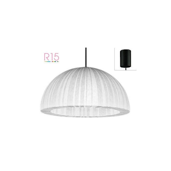 I[fbN ay_g OP252104NR ykCEkEBʓrz