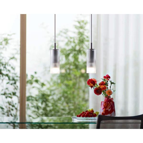 ODELIC オーデリック ダクトレール用ペンダント OP252548LR 電球