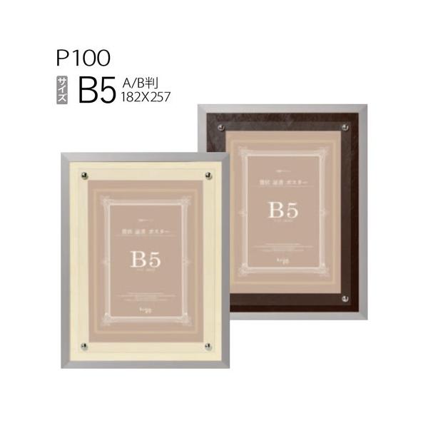 額縁　P100 レザーボード 【B5(182×257)】