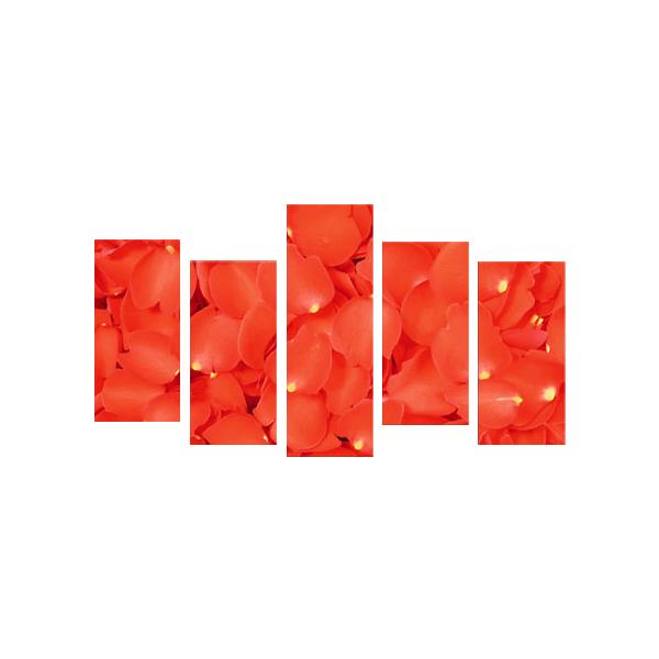 G CeA A[g pl  o [Y rO  bh 5pl S100cm