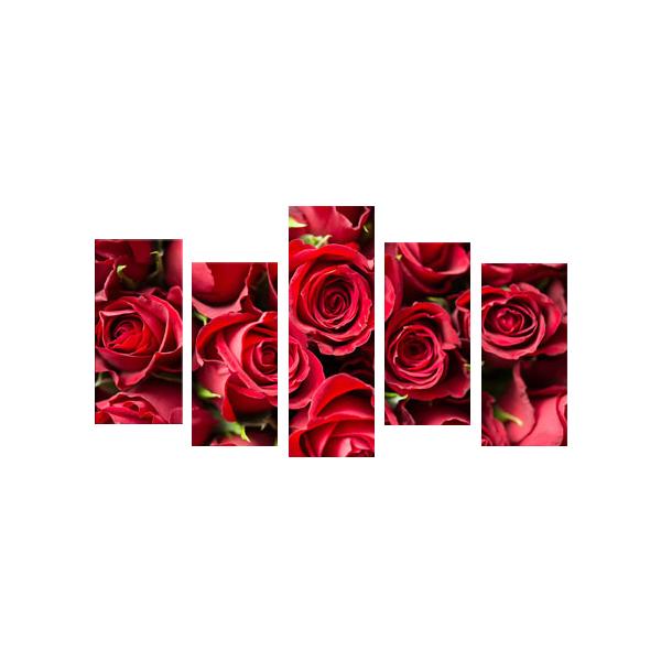 G CeA A[g pl  o [Y rO  sN 5pl S100cm