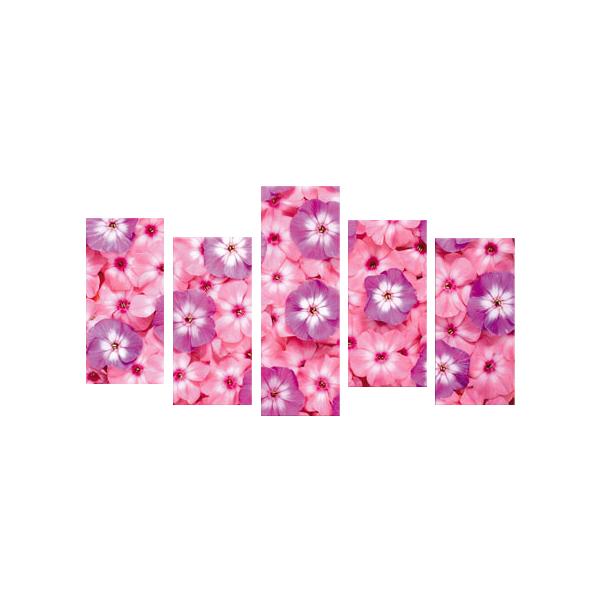 G CeA A[g pl  o [Y rO  IW 5pl S100cm