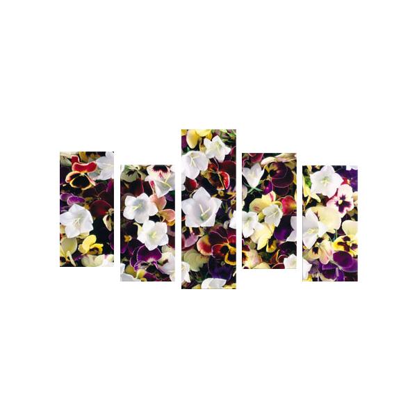 G CeA A[g pl  o [Y rO  O[ 5pl S100cm