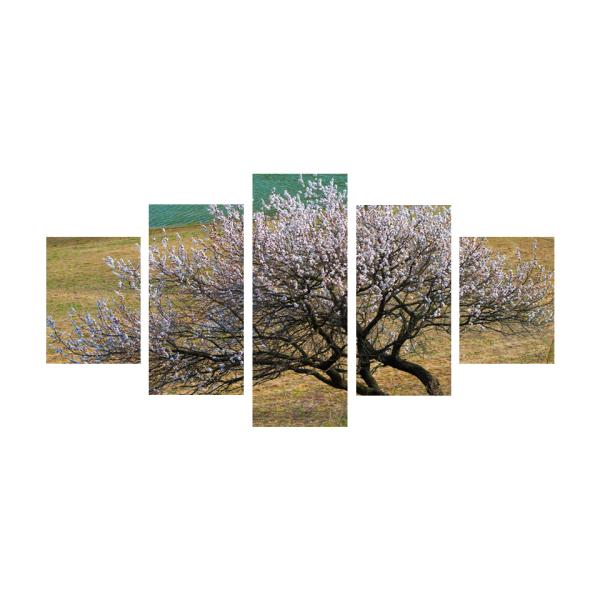 G CeA A[g pl    i  5pl S200cm