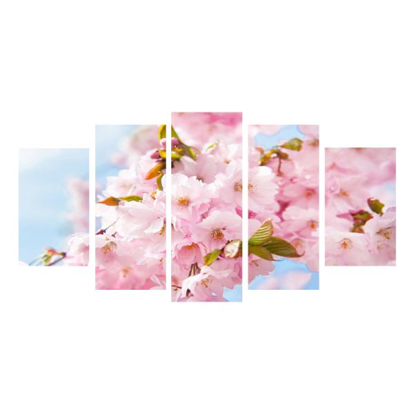 G CeA A[g pl    v[g sN 5pl S200cm