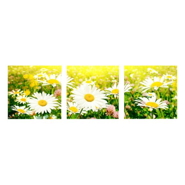 G CeA A[gpl3s[X fCW[  S120cm