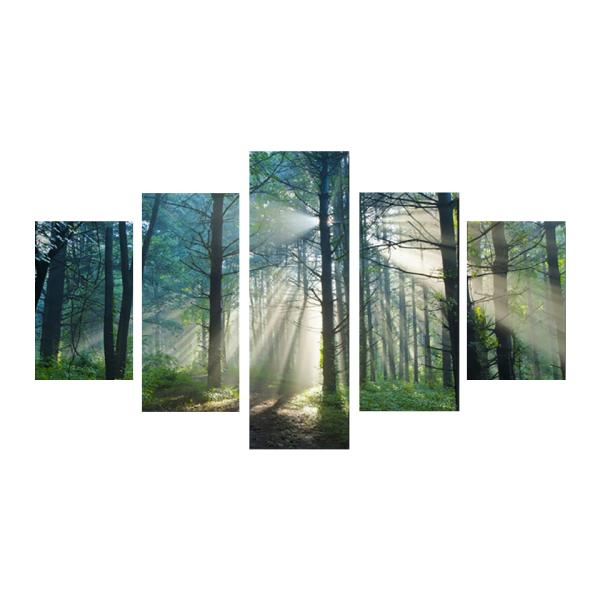 G CeA A[gpl  X X 5s[X S200cm 40cm×60cm×2 40cm×80cm×2 40cm×100cm×1
