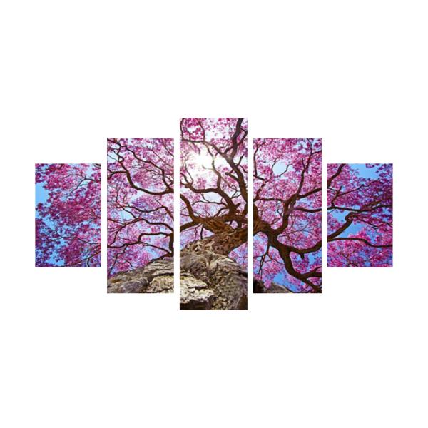 G CeA A[gpl  z  5s[X S150cm 30cm×50cm×2 30cm×70cm×2 30cm×80cm×1