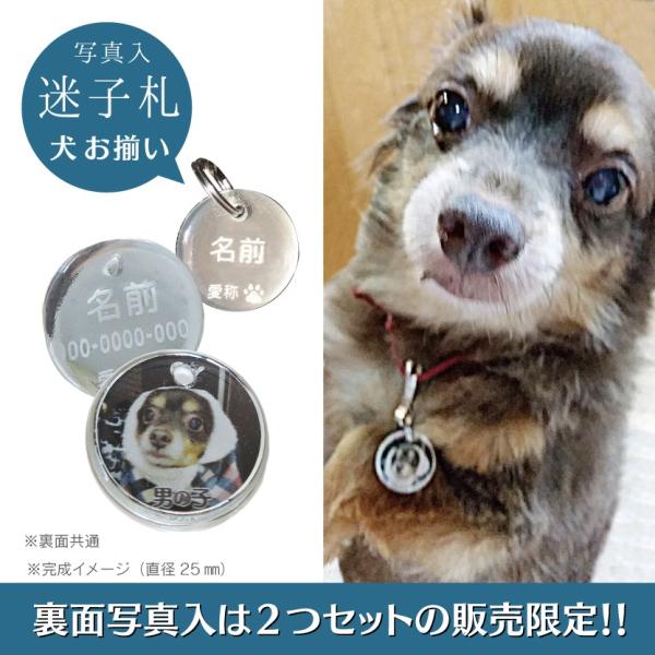 迷子札 犬お揃い オーダーメイド アクリル彫刻 セット販売限定 Buyee Buyee Japanese Proxy Service Buy From Japan Bot Online