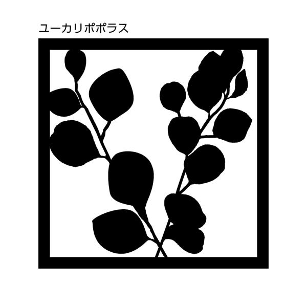 WALL ART ユーカリポポラス