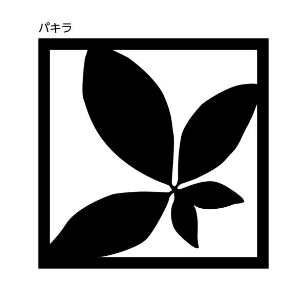 WALL ART パキラ