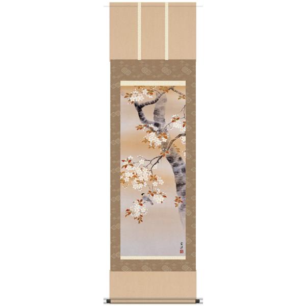 掛け軸 掛軸 春 近藤玄洋・桜花の小鳥 尺五 花鳥画 床の間 : 絵画生活