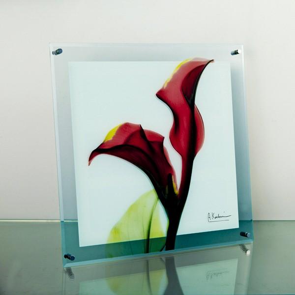 gQA[gX Ray KXA[gEJ[bhiǊ|pjilTCYj