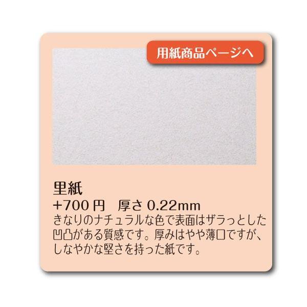 hpύXIvV@p@100ir[L110j