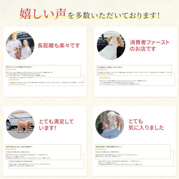 artcollections_a058_2_d_20241023225546