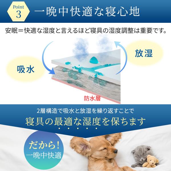 artcollections_a059_5_d_20240801223439