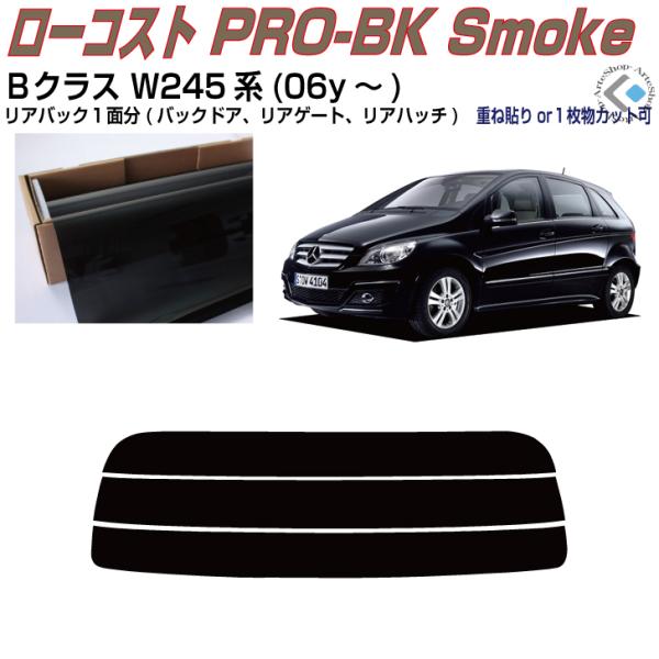 Â݌ xcaNX W245n(06y`)PiJbgς݃tB