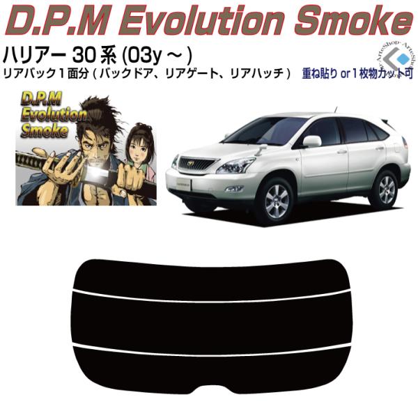 Âݍi nA[ 30n(03y`)PiJbgς݃tB