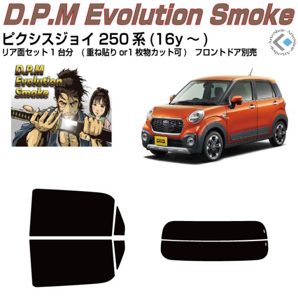 i sNVXWC 250n(16y`)Jbgς݃J[tBAAZbg