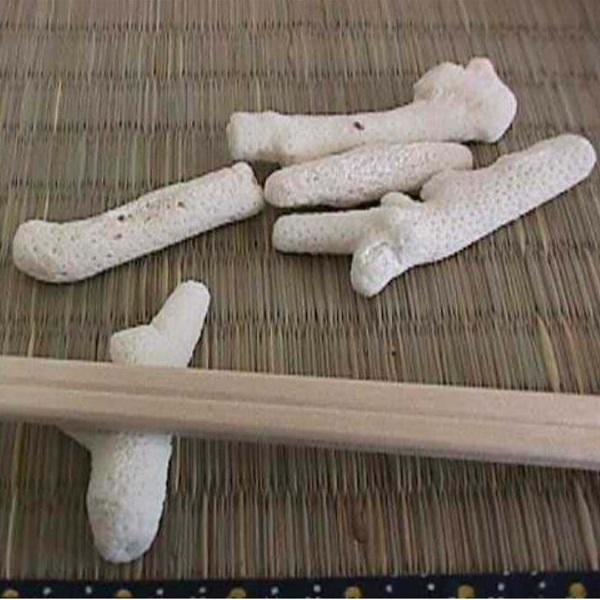 虹彩珊瑚の箸置き 虹彩珊瑚の箸置き 箸
