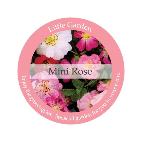 ミニバラ 栽培セット S 小さくても自分で育てる喜びを体験してみましょう 種 種子 栽培キット 種 種子栽培キット ミニ バラ Buyee Buyee 日本の通販商品 オークションの代理入札 代理購入