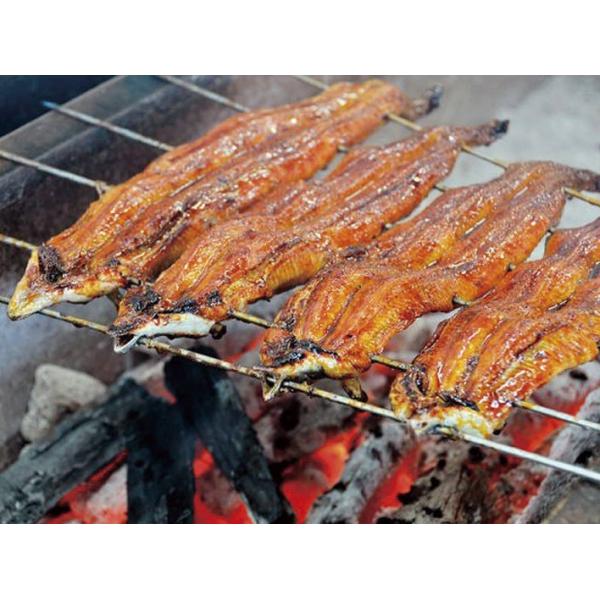 O͈F ȂB O ĂYΏĉVăZbg U-I@@@@@Hi@CY@ށ@Ȃ@EiM@V@y؁@@