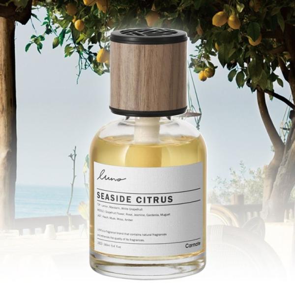 他サイト： ルーノ リキッド グラン SC 芳香剤 ダッシュボード シーサイドシトラス カーメイト L923の商品画像