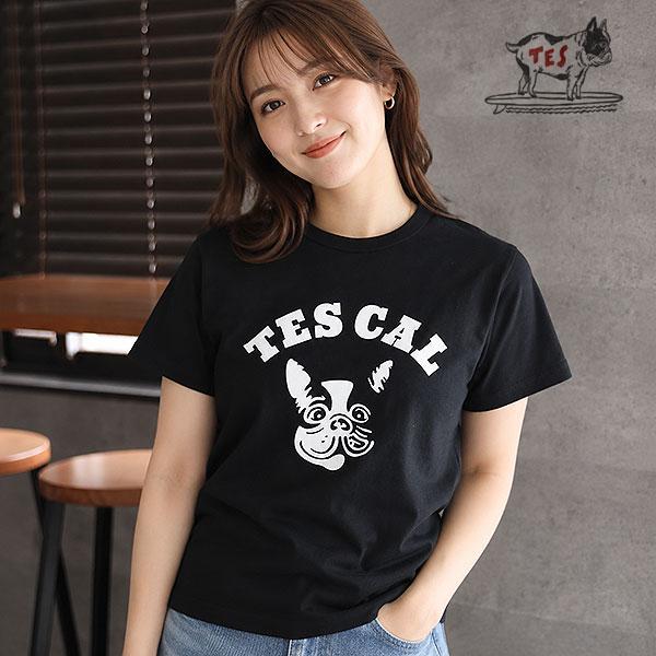 The Endless Summer（エンドレスサマー） Tシャツ The Endless Summer 