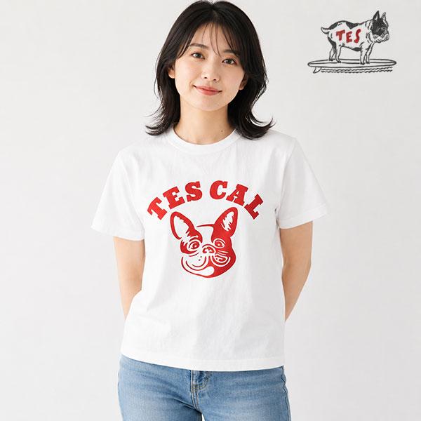 The Endless Summer（エンドレスサマー） Tシャツ The Endless Summer