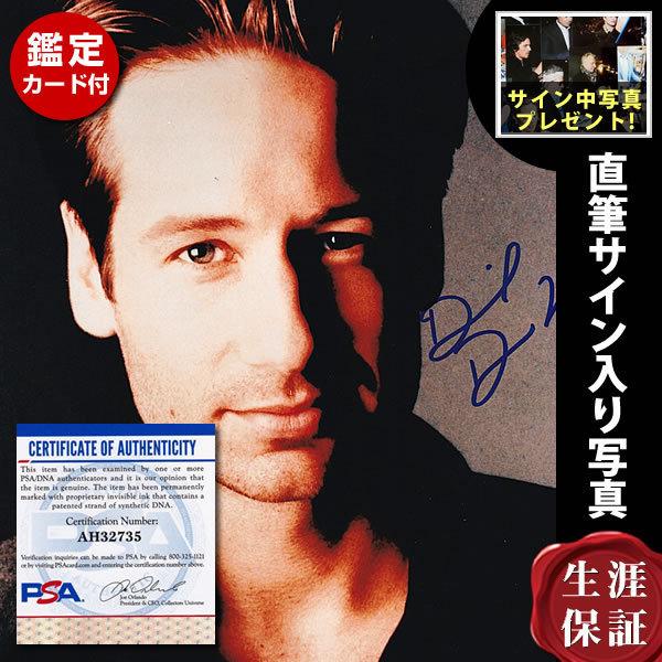 タレントグッズ Xファイルの人気商品 通販 価格比較 価格 Com