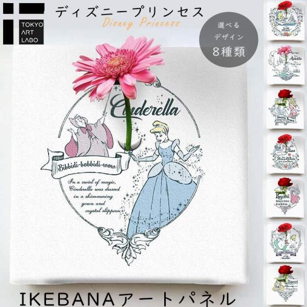 ディズニープリンセス Ikebana インテリア 2 7cm シンデレラ 贈りもの おすすめ Ike Dsny 2106 4048 壁面装飾 内装用壁アート Artlabo 通販 Yahoo ショッピング