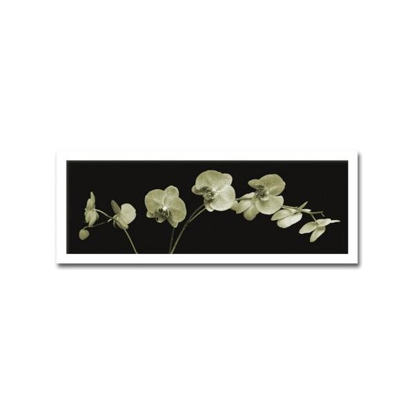 絵画 額付き 北欧 インテリア 壁掛け MOMA Jk driggs Orchid Sprays 絵