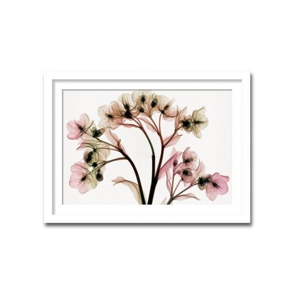 絵画 額付き 北欧 インテリア 壁掛け HELLEBORES ヘレボラス クリスマスローズ おしゃれ モダン 絵 花 リビング 玄関