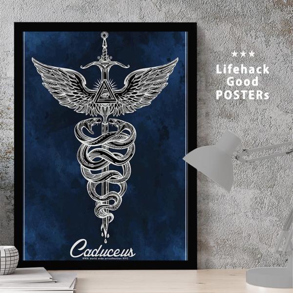 カラドリウス　店頭販促用ポスター カラドリウス 店頭販促用ポスター カラドリウス 店頭販促用ポスター