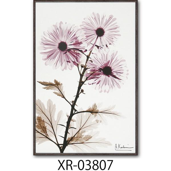 絵画 額入り ウィンドミル「植物の持つ繊細美を透明感と優しい色彩で